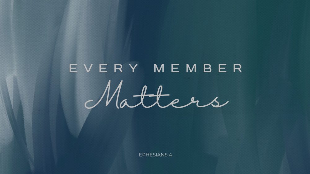 Every Member Matters